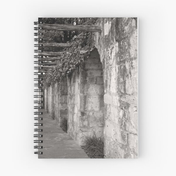 Item preview, The Alamo Court yard designed and sold by CLStevens.