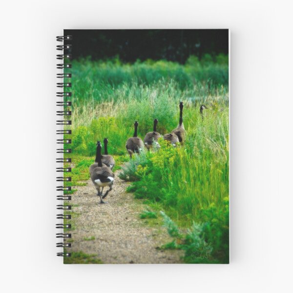 Item preview, Follow The Leader designed and sold by Sandra Parlow.
