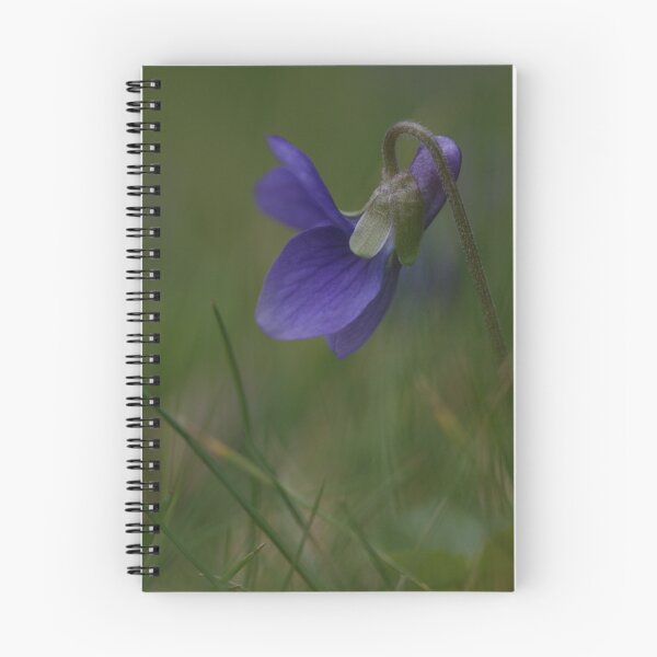 Item preview, Viola surprise designed and sold by Lindie Allen.