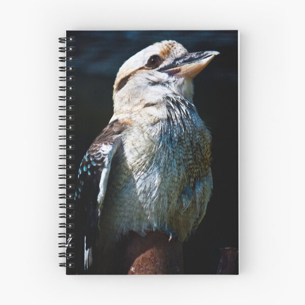 Artikelvorschau, Kookaburra Whiteman Park entworfen und verkauft von KBloodGallery.