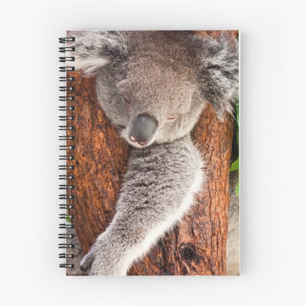 Artikelvorschau, Koala Bear entworfen und verkauft von KBloodGallery.