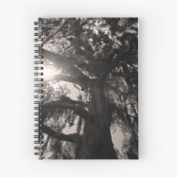 Aperçu de l'œuvre Ghostly Oak créée et vendue par CLStevens.