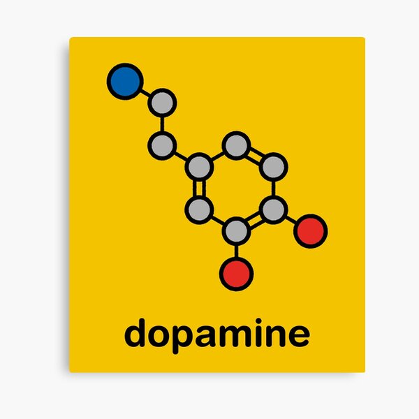 Dopamine neurotransmitter Canvas Print