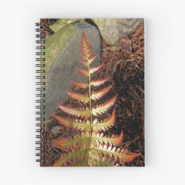Item preview, "Frond" designed and sold by Scott Bricker.
