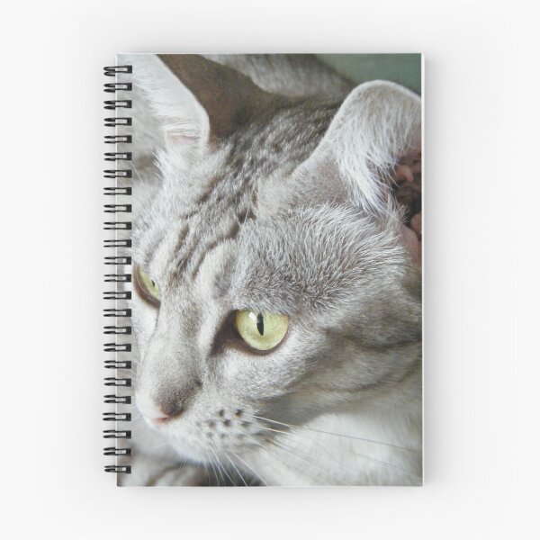 Item preview, Ice Cold Stare designed and sold by Emma Griffen.