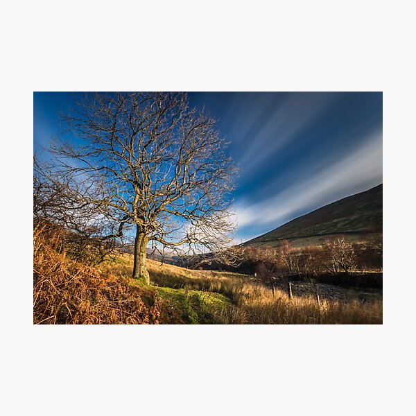 Tree by The River Ashop Photographic Print
