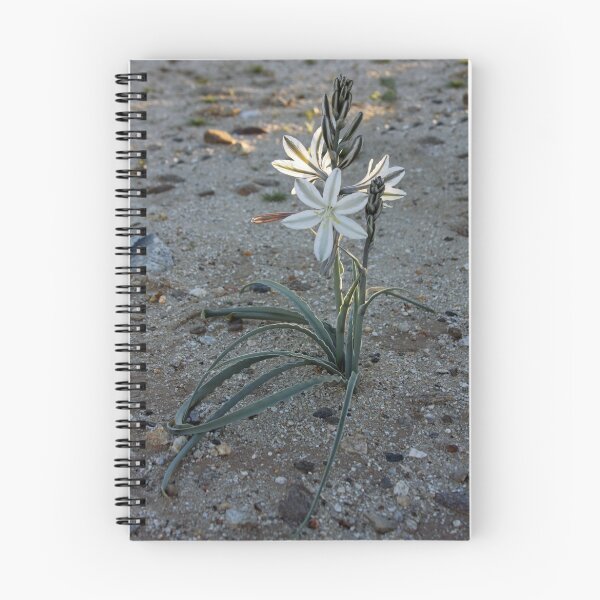 Item preview, Desert Lily designed and sold by CarolM.
