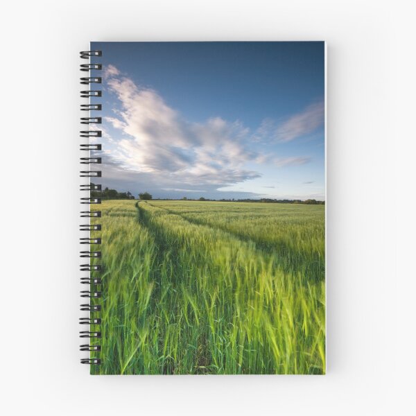 Item preview, The Wind That Shakes the Barley  II designed and sold by Douglas  Latham.