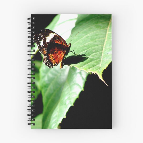 Item preview, Flutter designed and sold by Paige.