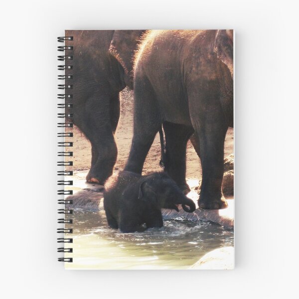 Item preview, Mali, Baby Elephant designed and sold by Jessica Brett.