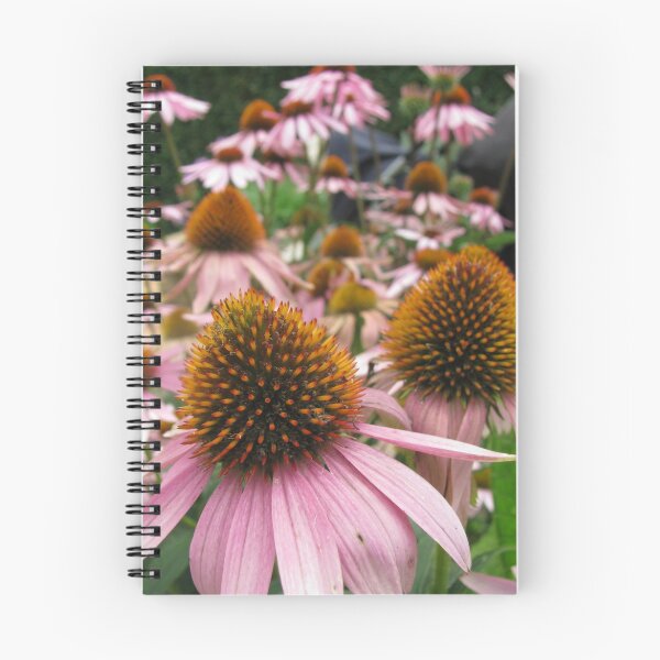 Item preview, echinacea designed and sold by wendy lamb.