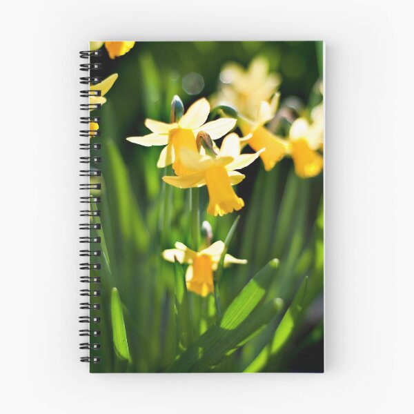 Item preview, Daffodils designed and sold by swhite99.