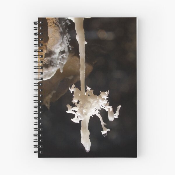 Item preview, A Delicate World designed and sold by Rob Eavis.