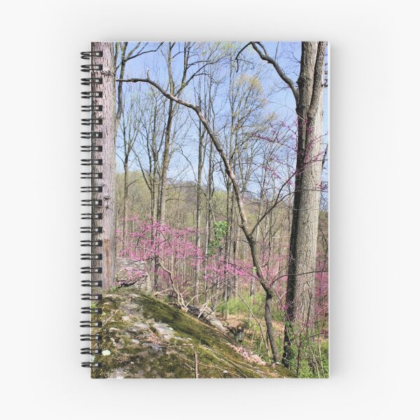 Item preview, The Color of Spring designed and sold by MGriffiths.