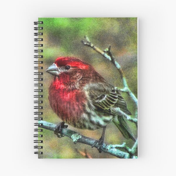 Item preview, House Finch designed and sold by Sviatlana.