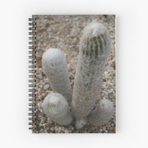 Item preview, Cacti designed and sold by michellerena.