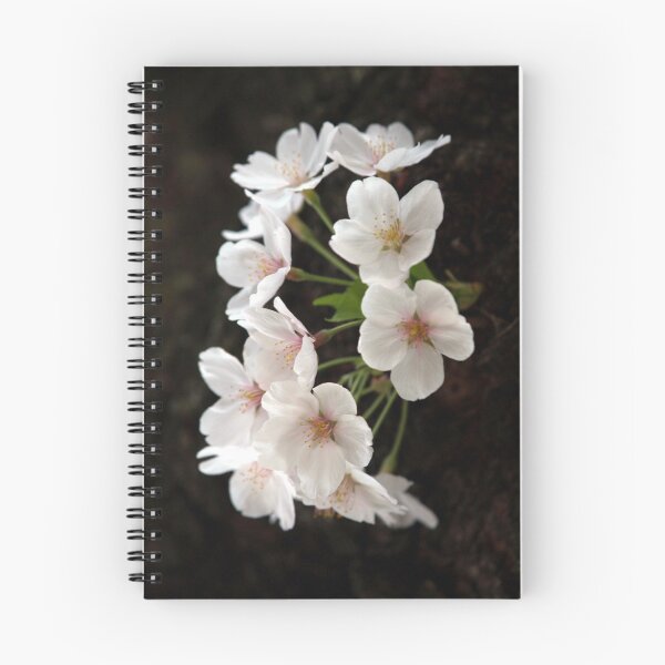 Item preview, Sakura 10 designed and sold by Ken Thomas Photography.