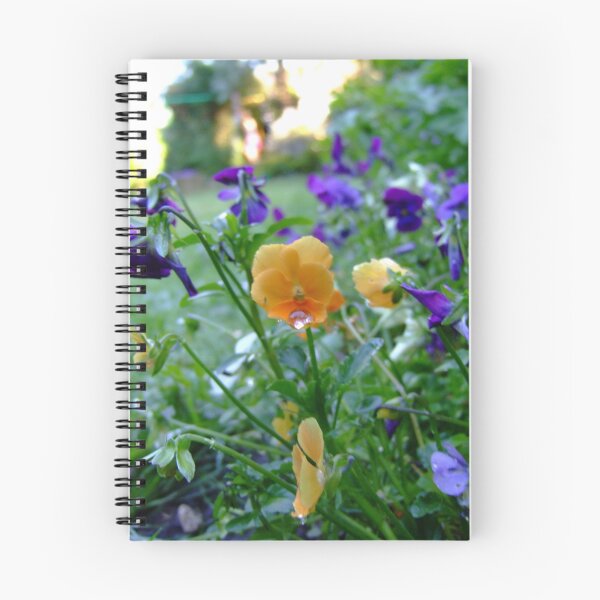 Item preview, orange and purple violas in the garden designed and sold by Sherony Lock.