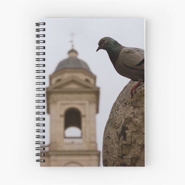 Item preview, Bird of Rome designed and sold by Sergey Bezberdy.
