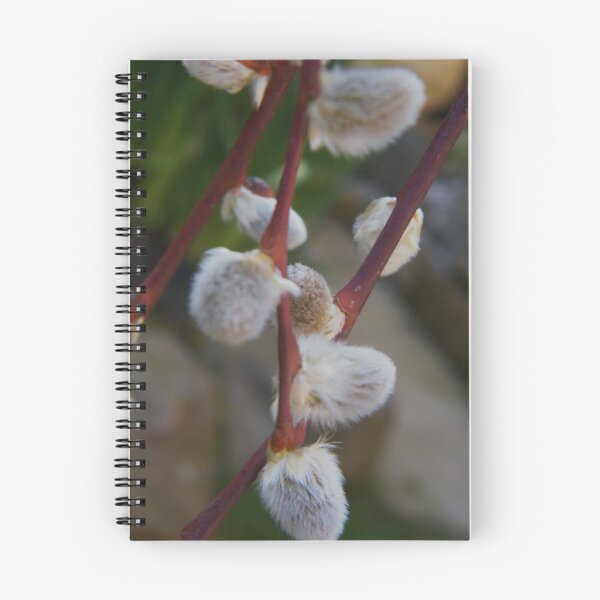 Item preview, Fluffy Catkins designed and sold by ElsT.