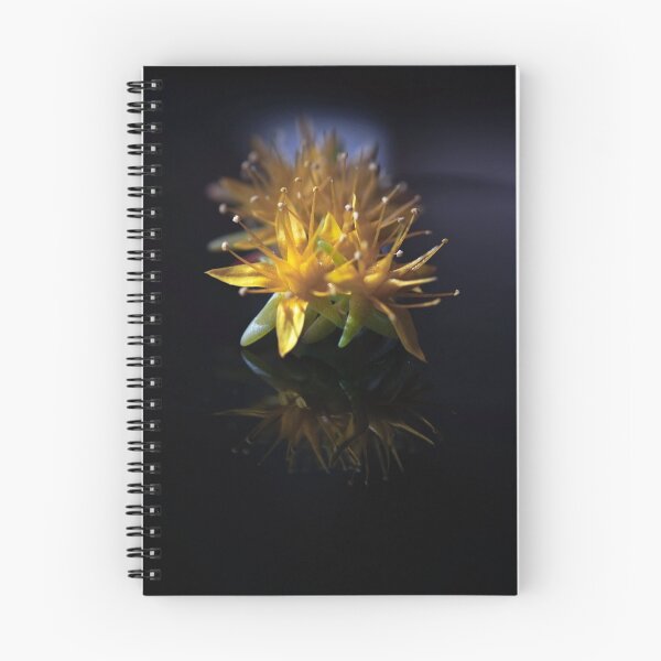 Item preview, my favorite flower nr.2 designed and sold by ser-y-star.