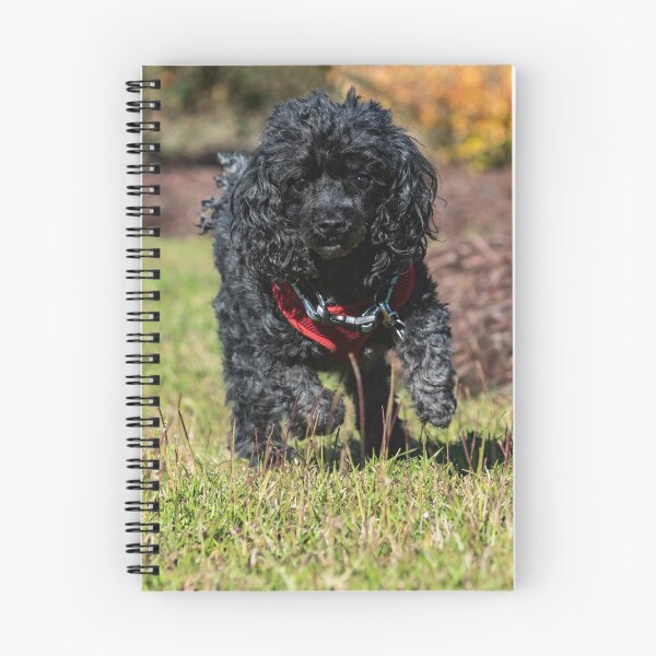 Item preview, Hunting Poodles designed and sold by KensLensDesigns.