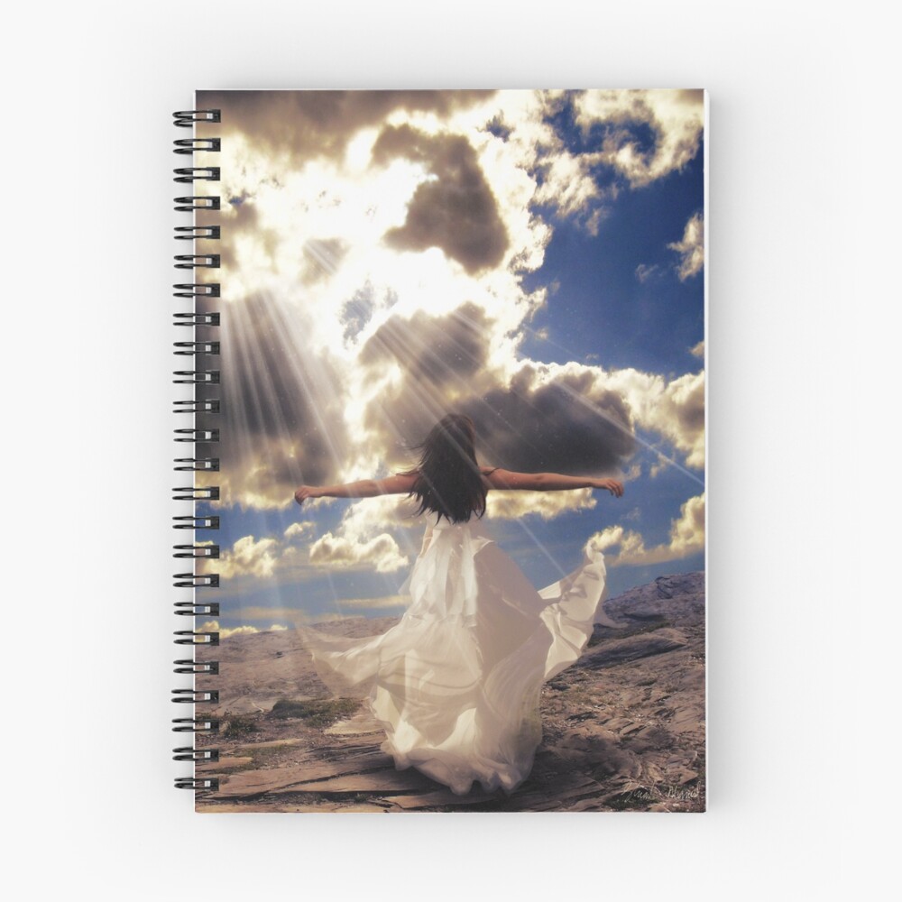 Item preview, Spiral Notebook designed and sold by Torack.