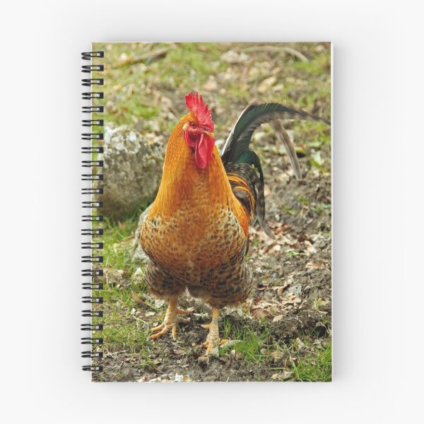 Item preview, Rooster designed and sold by Martina Fagan.