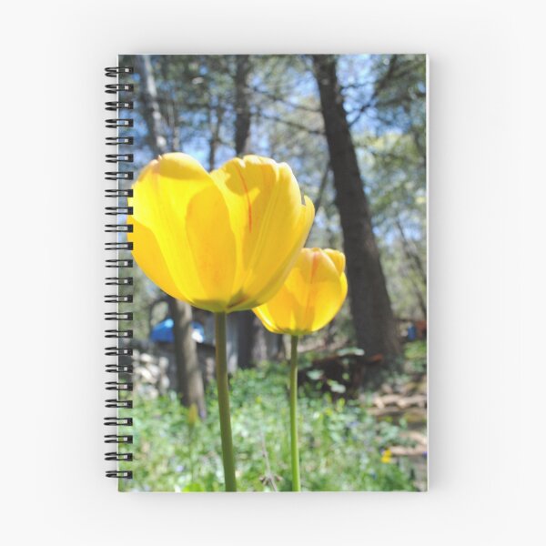 Item preview, Bright Sunny Tulips designed and sold by Nancy Chambers.
