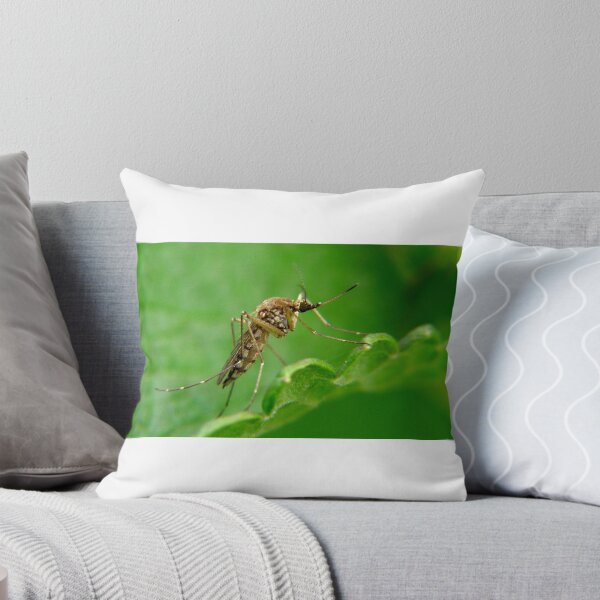 Item preview, I am a little Mosquito designed and sold by colorfulbundles.