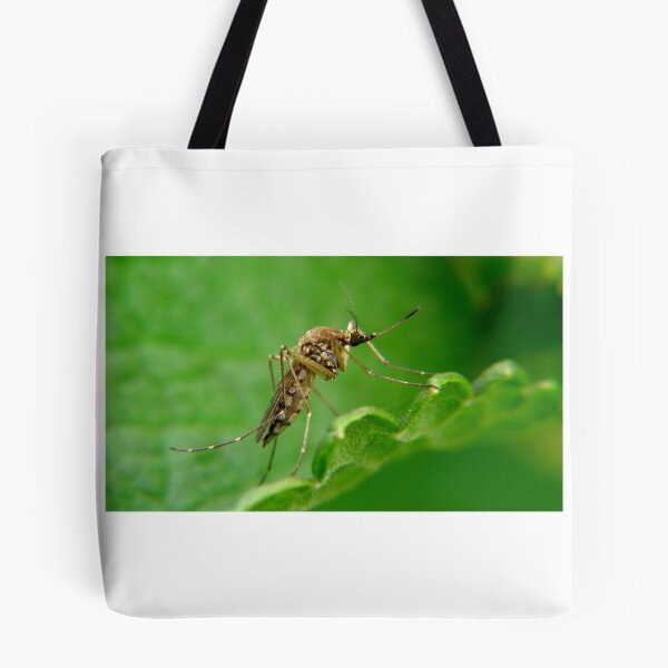 Item preview, I am a little Mosquito designed and sold by colorfulbundles.