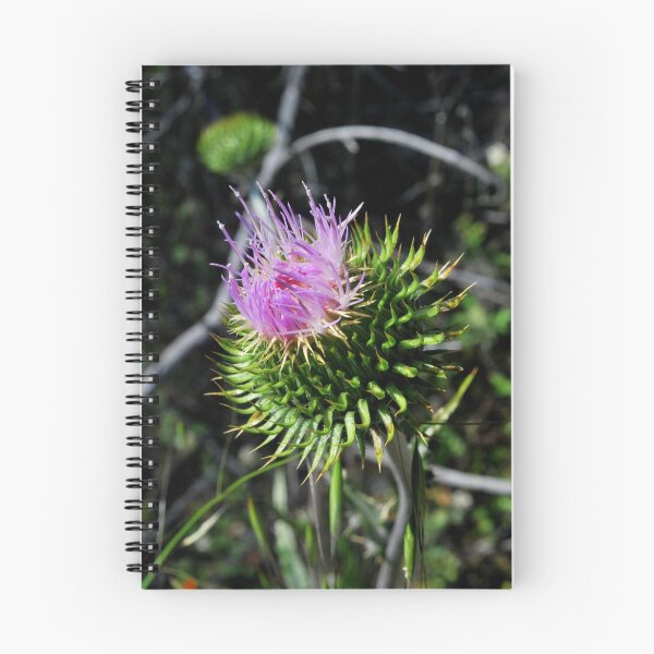 Item preview, Star Thistle5-Merced River, Ca designed and sold by Alan Brazzel.
