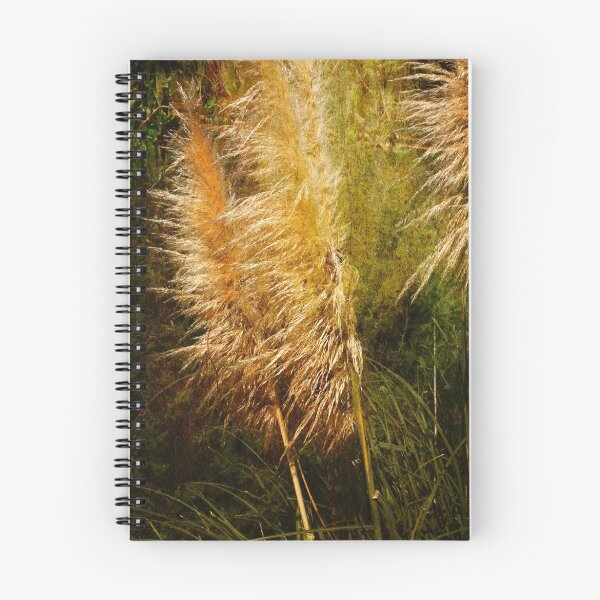 Item preview, "Pampas Grass" designed and sold by Bruce Jones.