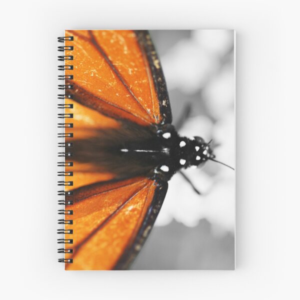 Item preview, Butterfly colors designed and sold by AdamJonesNZ.