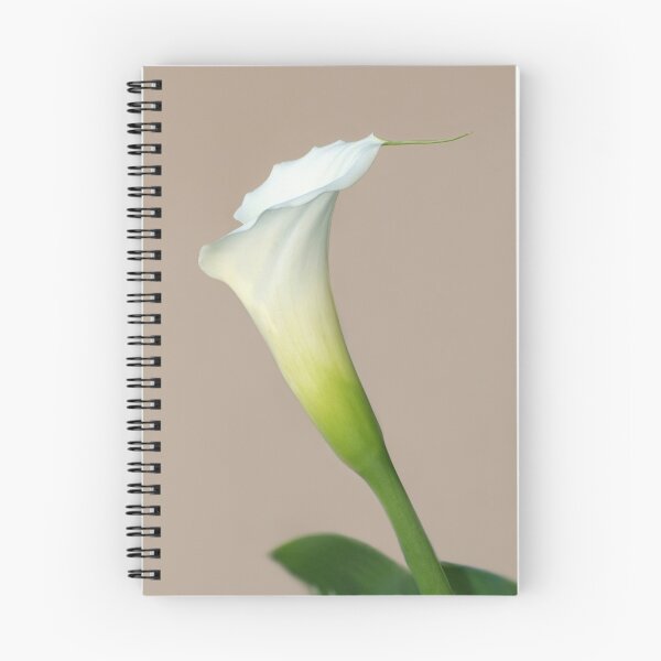 Item preview, Fragile white......... designed and sold by Macky.