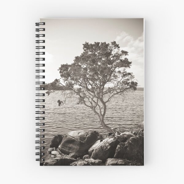 Item preview, Tree and Rock 2 designed and sold by pennyswork.