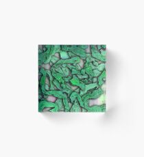 Tendrils Texture Acrylic Block