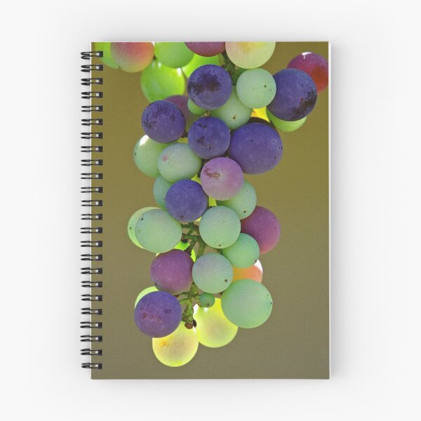 Item preview, Rainbow Grapes - Hunter Valley, NSW designed and sold by graphicscapes.