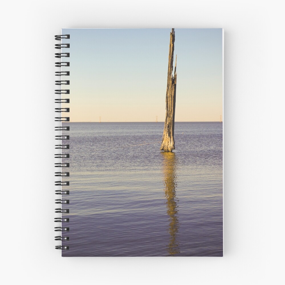 Item preview, Spiral Notebook designed and sold by RayDevlin.
