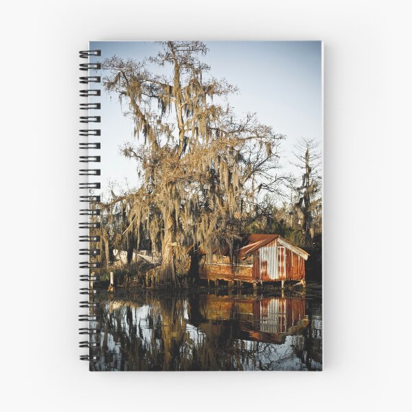 Item preview, Swamp Shack designed and sold by RayDevlin.