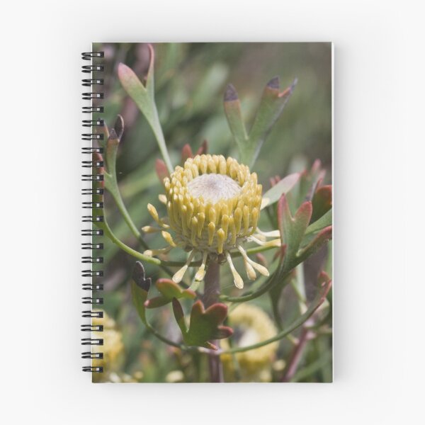 Item preview, Banksia 4 designed and sold by Philip Cannon.