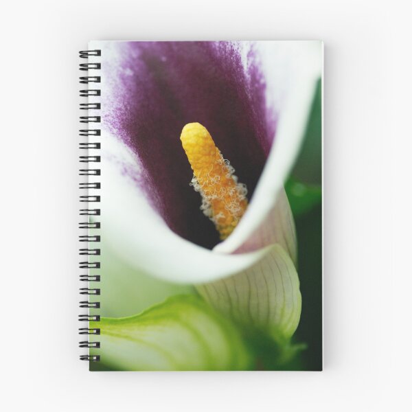 Item preview, Calla Lily designed and sold by Mirka Rueda Rodriguez.