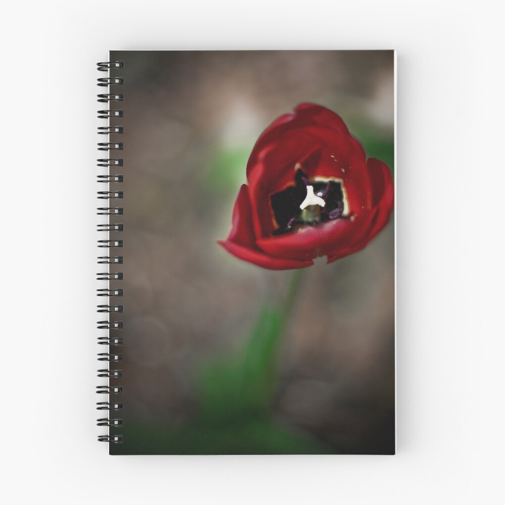 Item preview, Spiral Notebook designed and sold by SyntaxStudio.