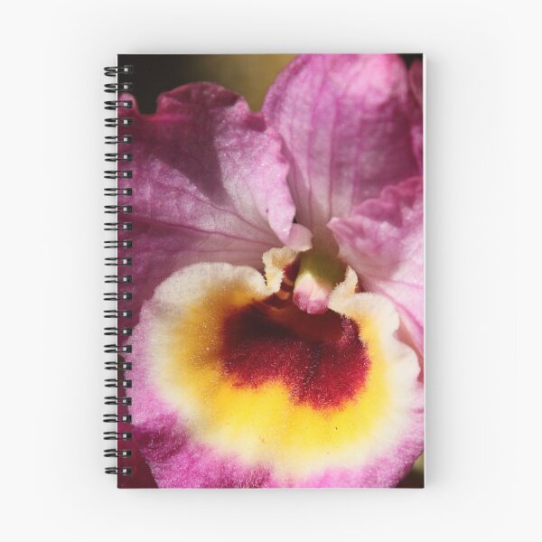 Item preview, Sunrise in an orchid designed and sold by John Banks.