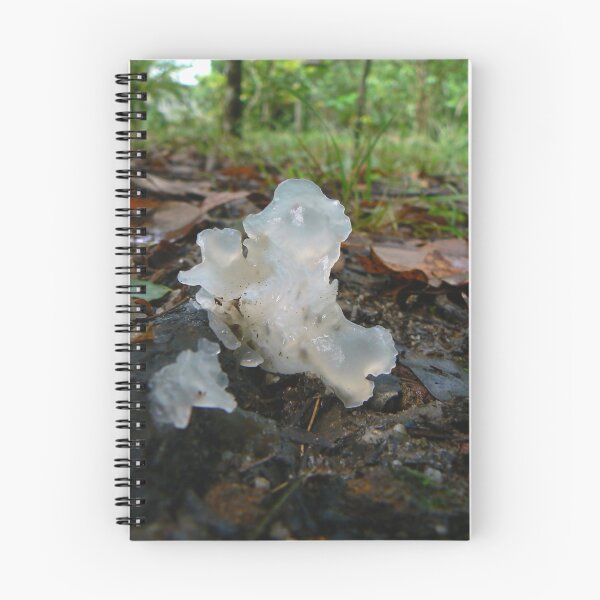 Item preview, Tremella fuciformis designed and sold by Erin Anderson.