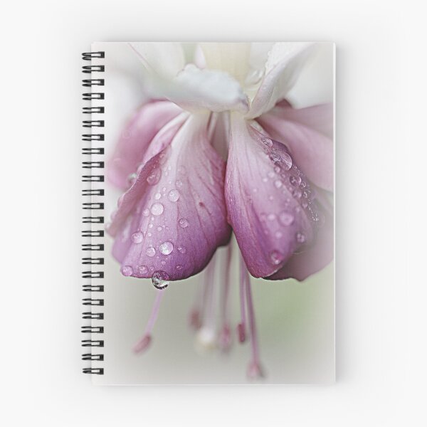Item preview, Before The Last Teardrop Falls.... designed and sold by Sharon House.