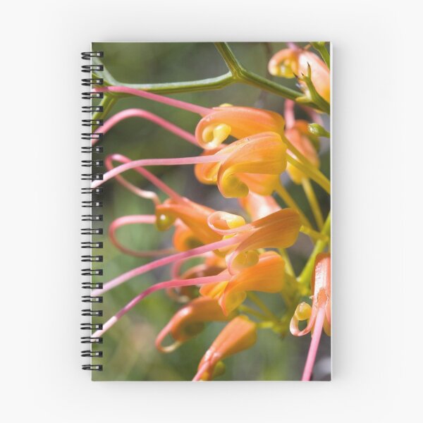 Item preview, Grevillea 2 designed and sold by Philip Cannon.