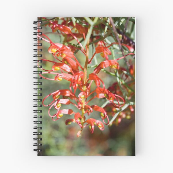 Item preview, Grevillea 4 designed and sold by Philip Cannon.