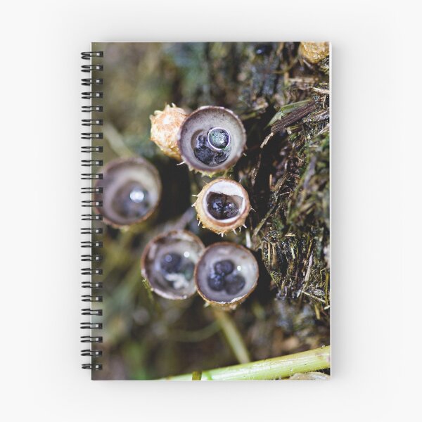 Item preview, In a nesting mode designed and sold by Coriena.