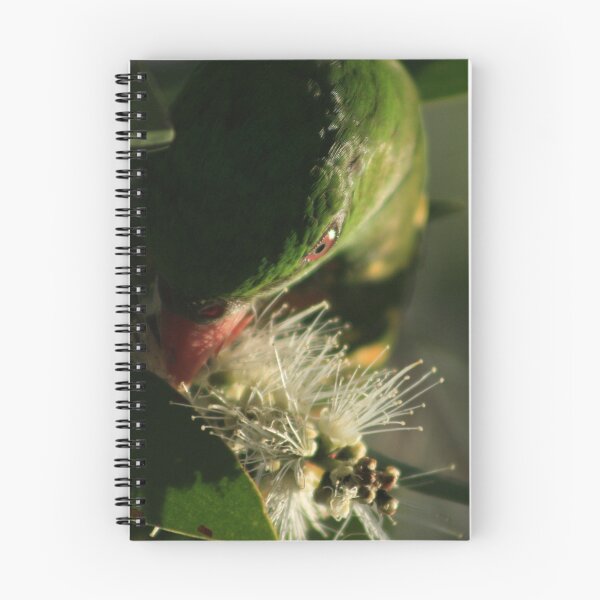 Item preview, Green Parrot Head - Buderim Pond - Qld designed and sold by HeidiForeman.